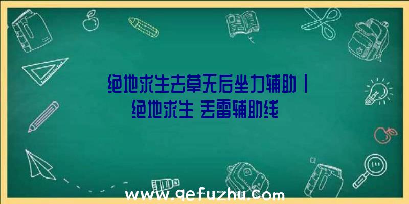 「绝地求生去草无后坐力辅助」|绝地求生